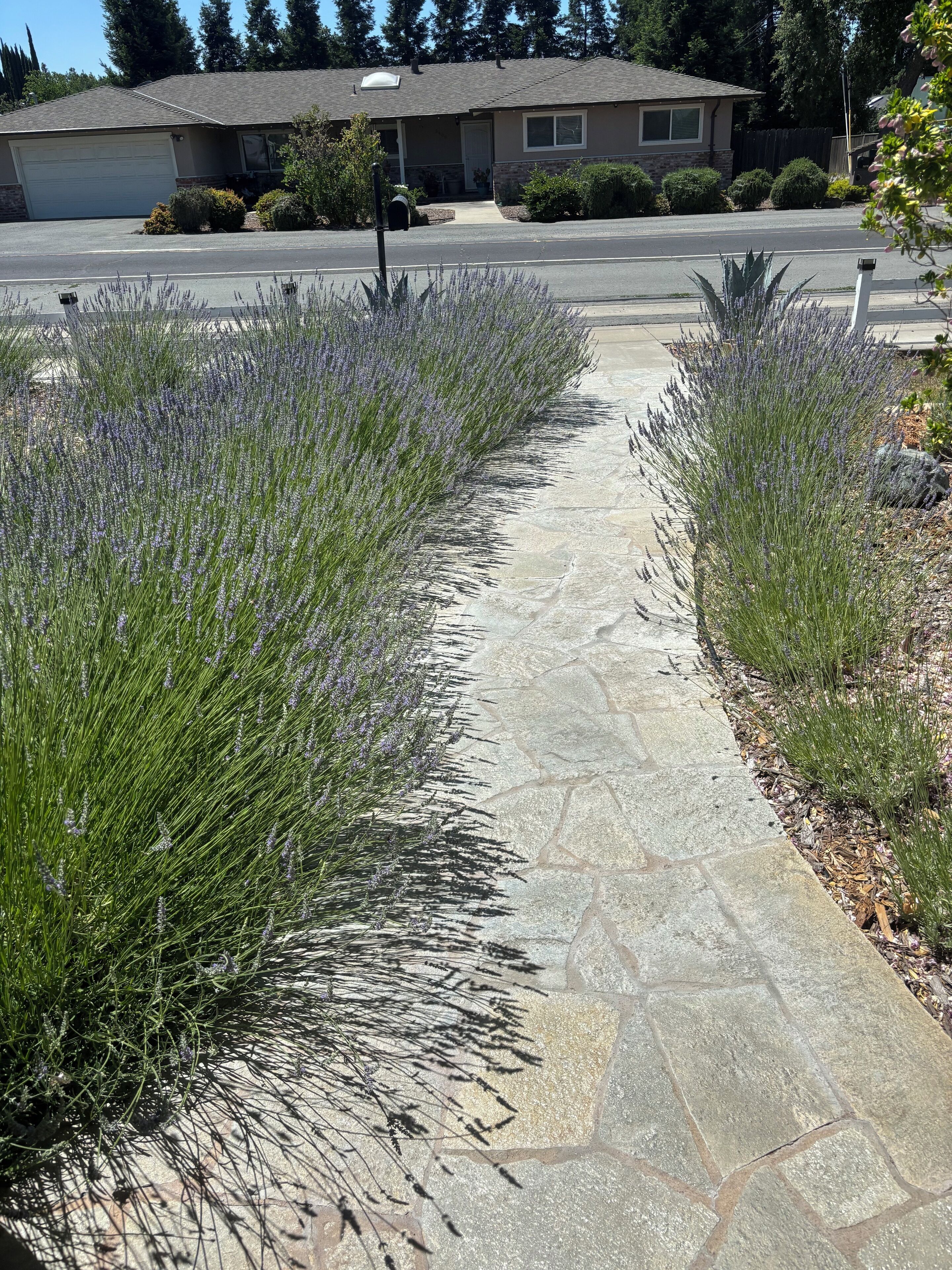 Áreas de la propiedad