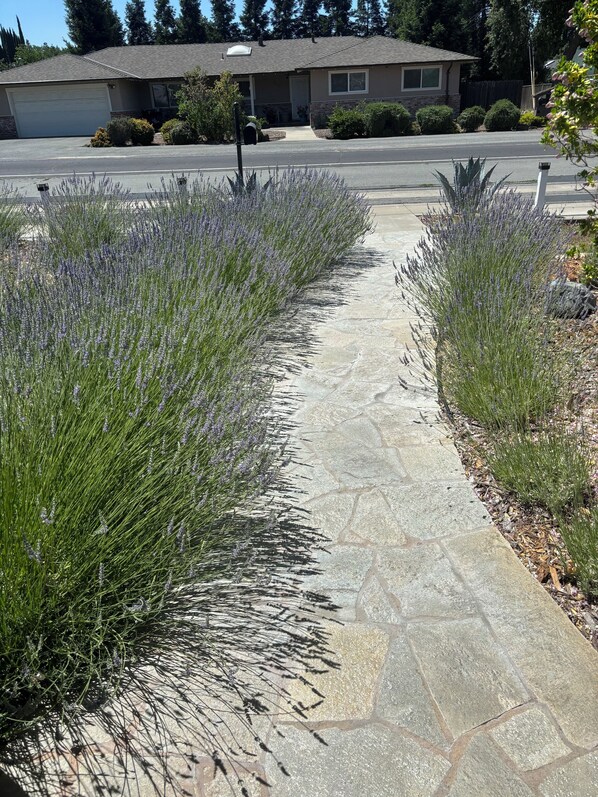 Terrein van de accommodatie