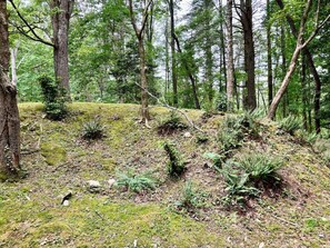 Boendeområde