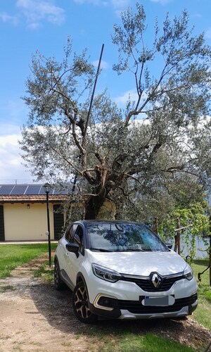 Legnaia, the Eco-friendly House!