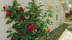 Un edificio con un rampicante di rose lungo la facciata.