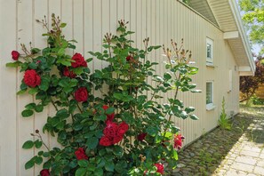 Detalj exteriör