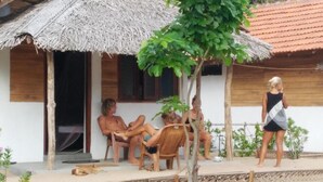 A wooden house with a thatched roof, a small porch, and a tree in the center. - Ocean View Beach Resort (Kudawa)