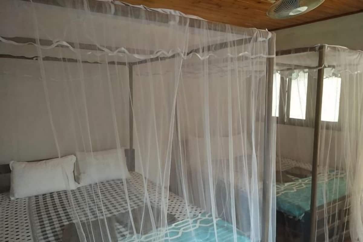 Una habitación con una cama bajo una mosquitera, una ventana y un ventilador de techo.