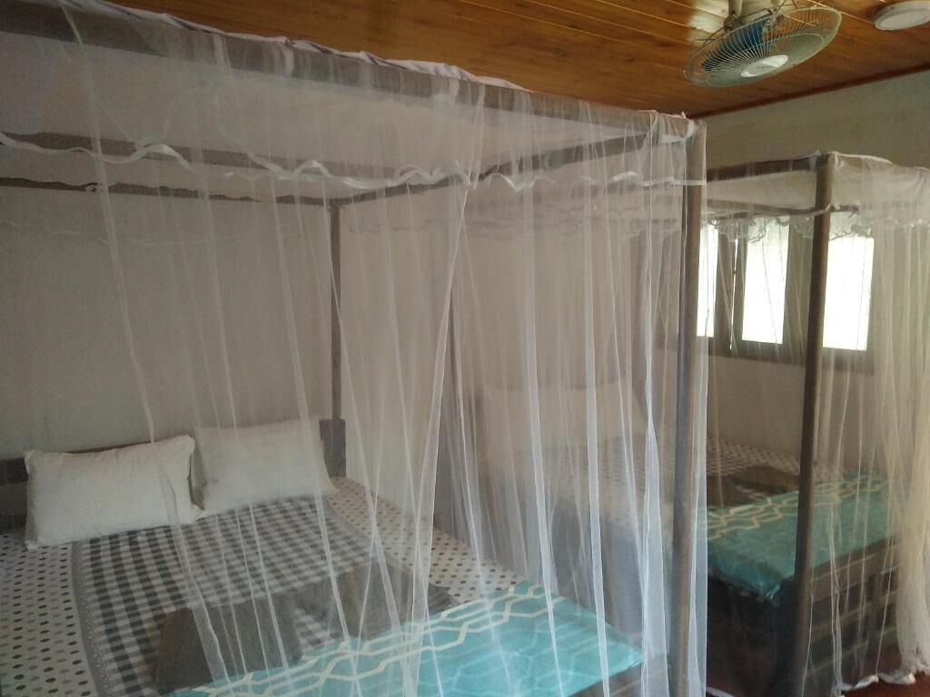 A room with a bed covered by a mosquito net, a ceiling fan, and a window with curtains.