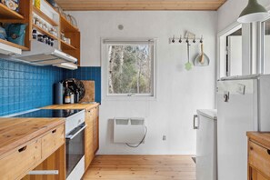 Fridge, oven, stovetop, electric kettle