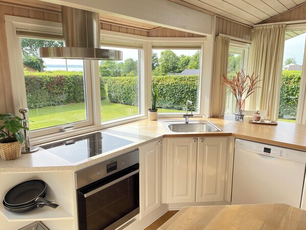 Fridge, oven, stovetop, dishwasher