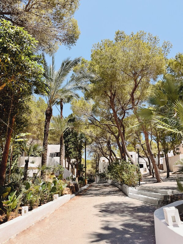 A pathway lined with palm trees and other greenery, leading to a building with white walls and a flat roof. - FERGUS Style Punta Arabi (Santa Eulalia del Rio)