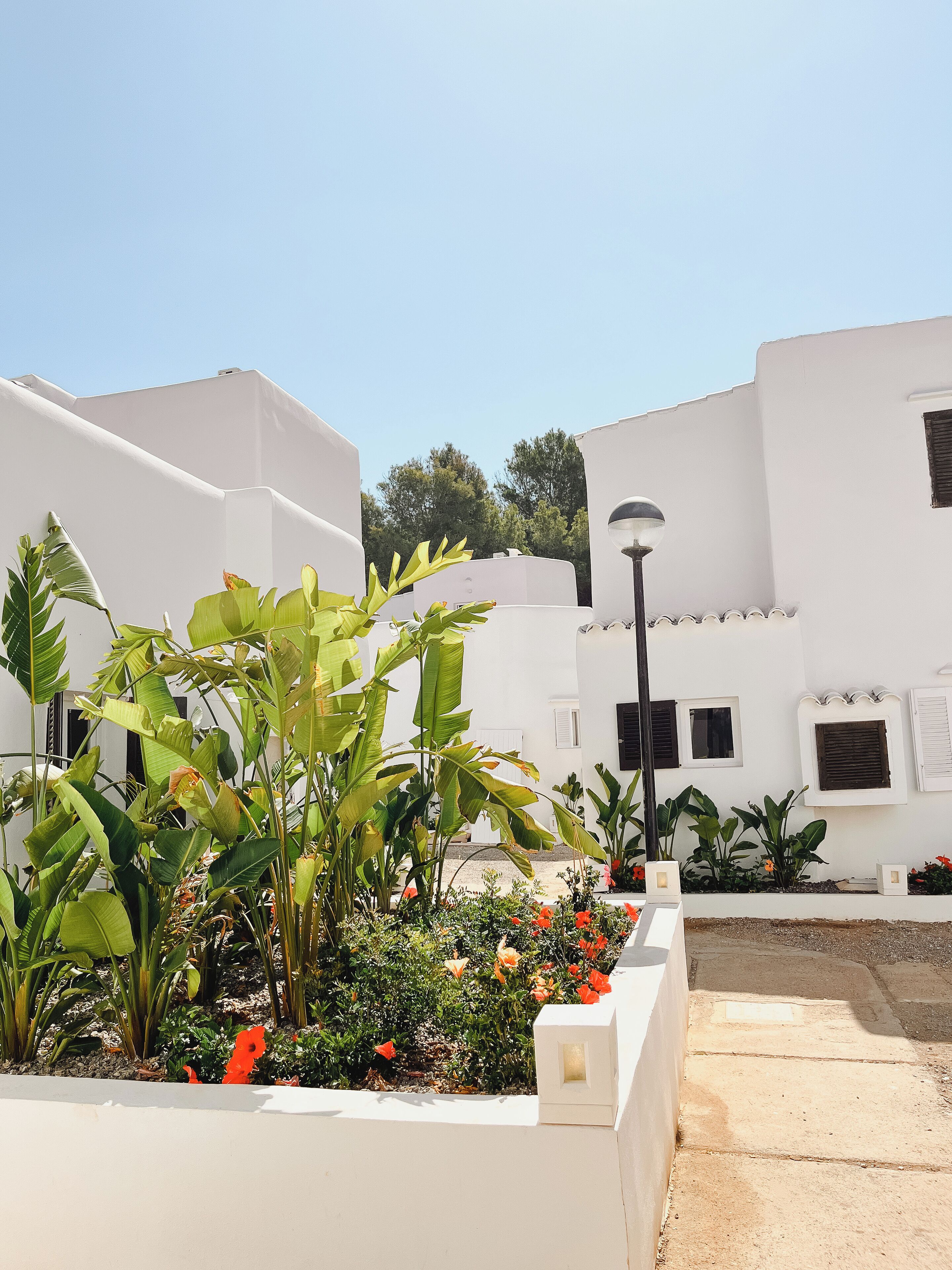 Un edificio blanco con jardín, con plantas verdes grandes y flores rojas.