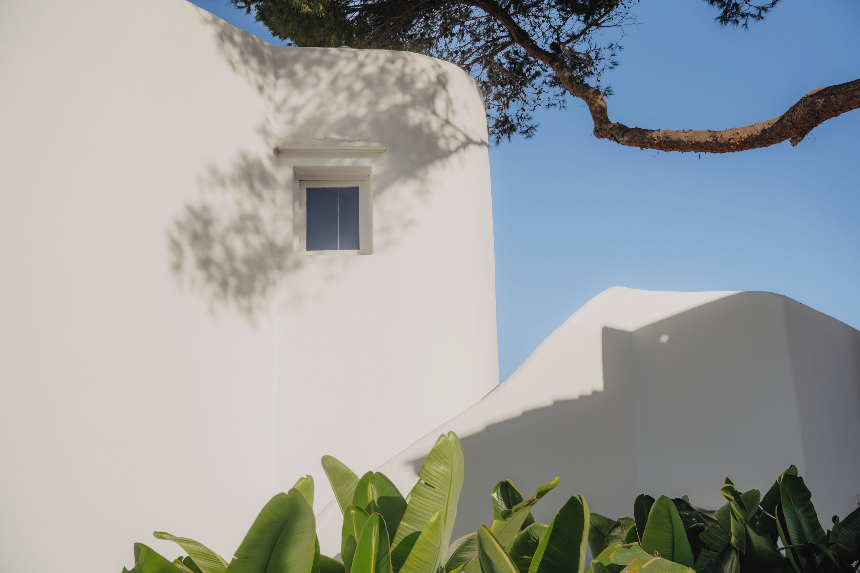 A white building with a small window and a tree branch casting a shadow.