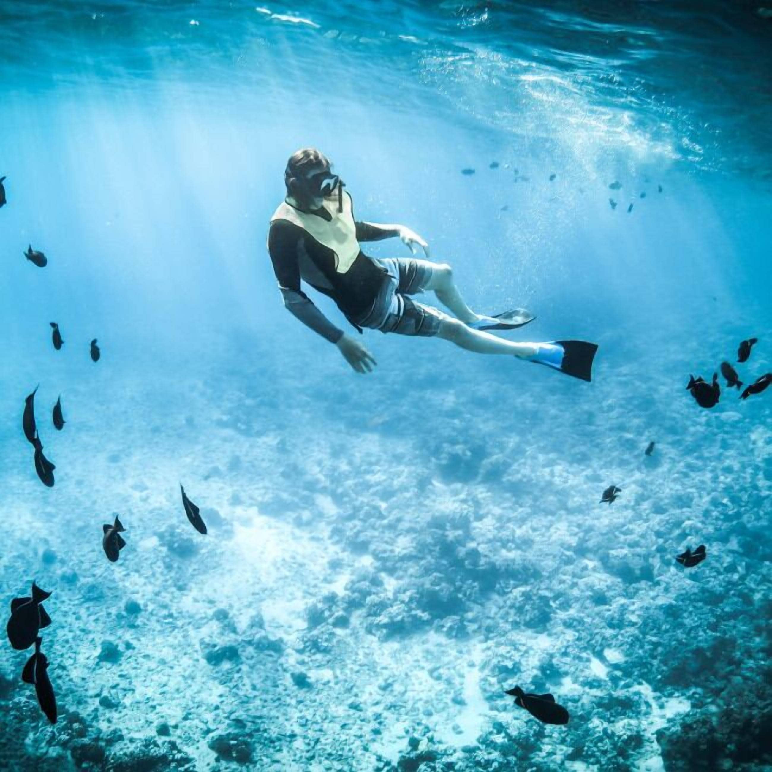A person scuba diving underwater with fish around.