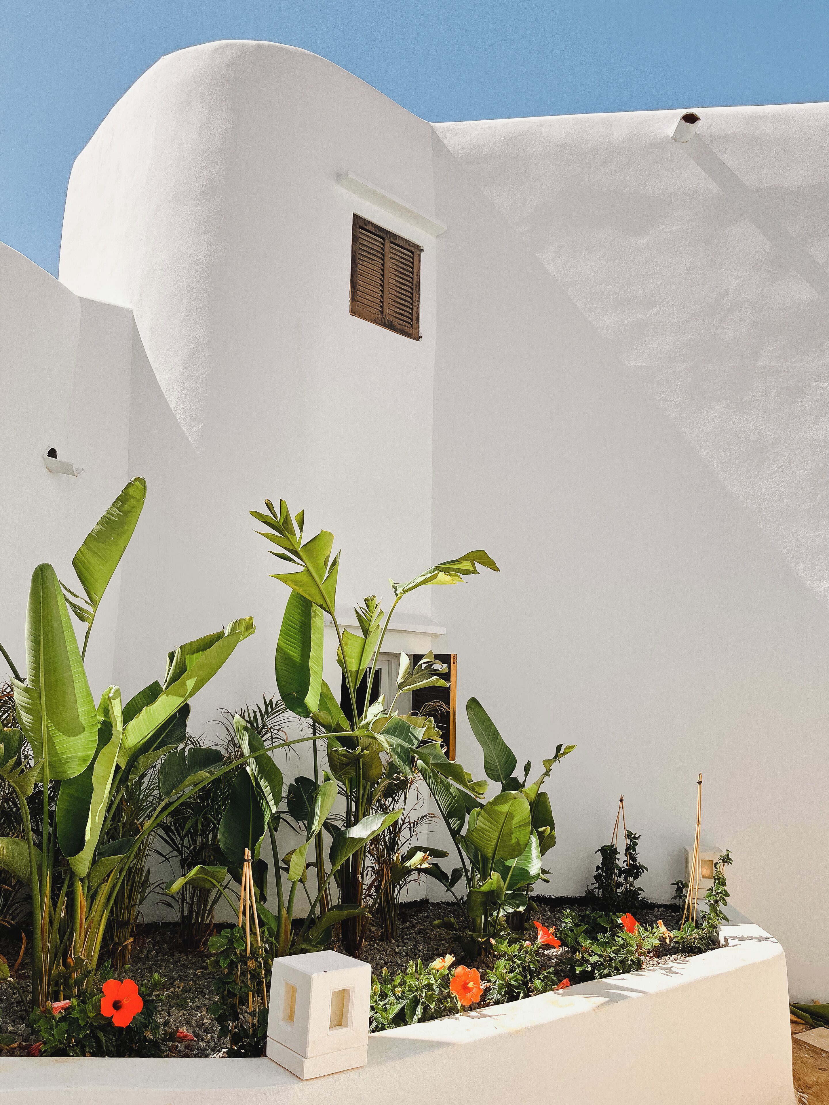 A white building with a small window and a white planter with plants and flowers.