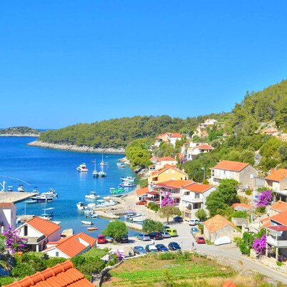 Apartments Katica's Place