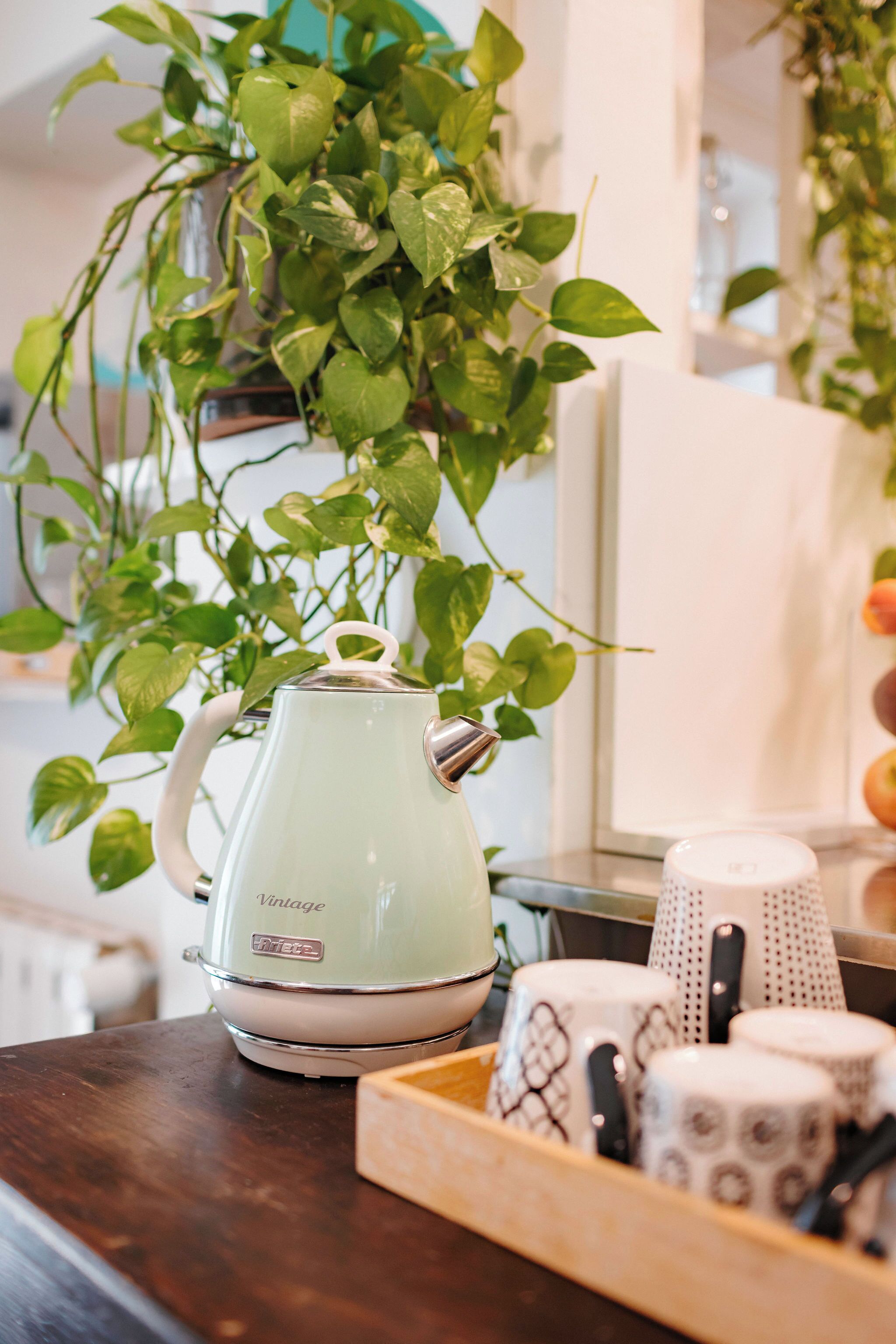 Un plan de travail de cuisine agrémenté d’une bouilloire de style vintage, d’un plateau rempli de tasses décorées et d’une plante suspendue.
