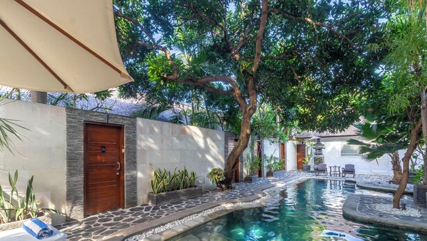 A pool area with a stone-lined edge, a wooden door, and potted plants. - Scallywags Mango (Gili Air)