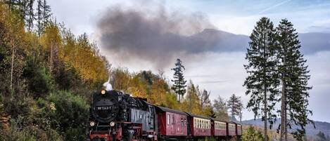 A steam locomotive with the number 99 7243-1 on a railway track surrounded by autumn foliage and a mountainous backdrop.