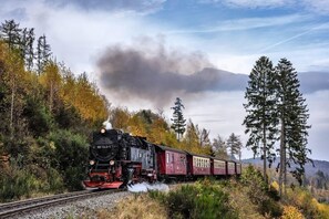 A steam locomotive with the number 99 7243-1 on a railway track surrounded by autumn foliage and a mountainous backdrop. - Hotel der Kräuterhof (Wernigerode)