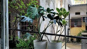 A balcony with potted plants and a metal railing. - Tiny homes  (Hanoi)