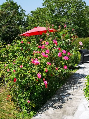 Property grounds - Bed and breakfast Une Douceur Picarde in Pernois - Somme (Pernois)