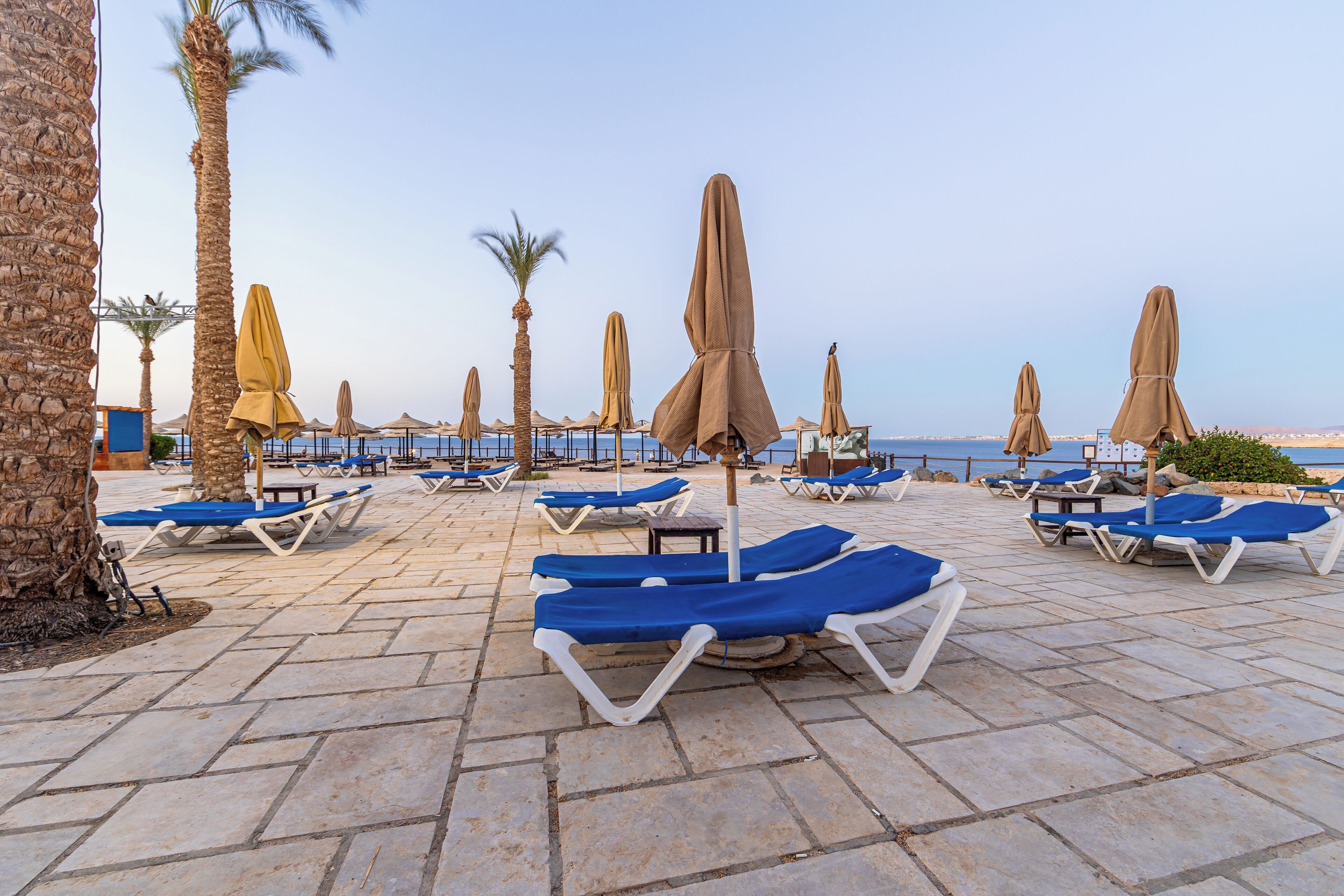 Foto - The Sharm Plaza