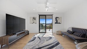 Smart TV, fireplace, books