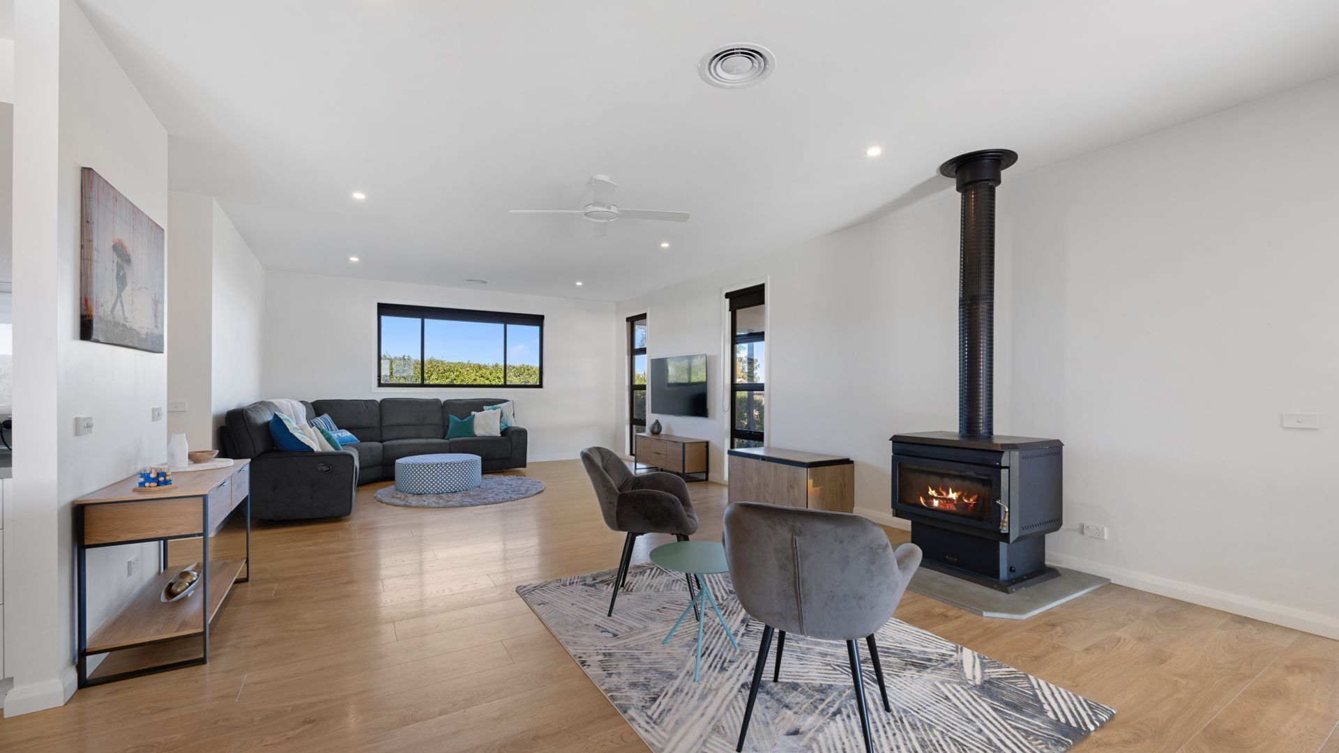 Smart TV, fireplace, books