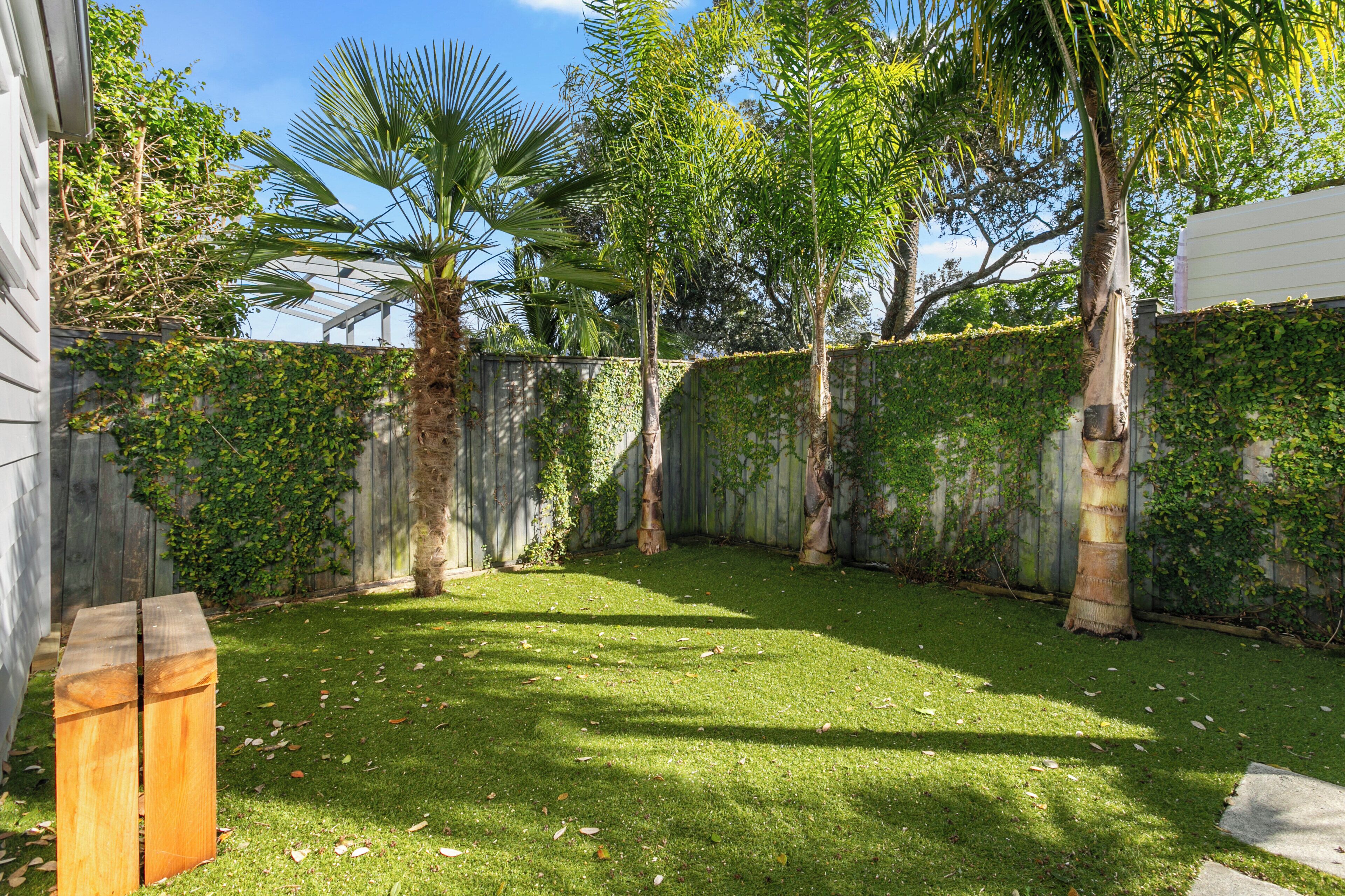 A backyard with a wooden bench, a palm tree, and a fence covered in ivy.