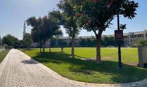 Monolocale | Parco della struttura