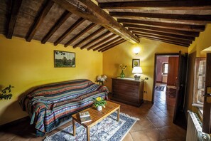 Televisión, chimenea, reproductor de DVD, mesa de ping pong