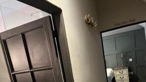 A hallway with a dark brown door, a light switch, and a wall-mounted light fixture. - The Crown Inn (King's Lynn)
