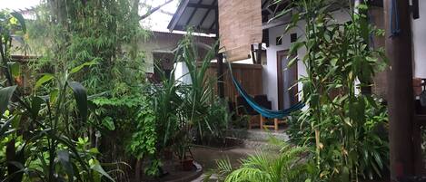 Vista desde la habitación