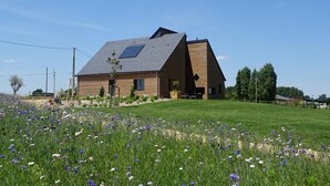 Una casa moderna con techo inclinado y un pequeño jardín delantero.