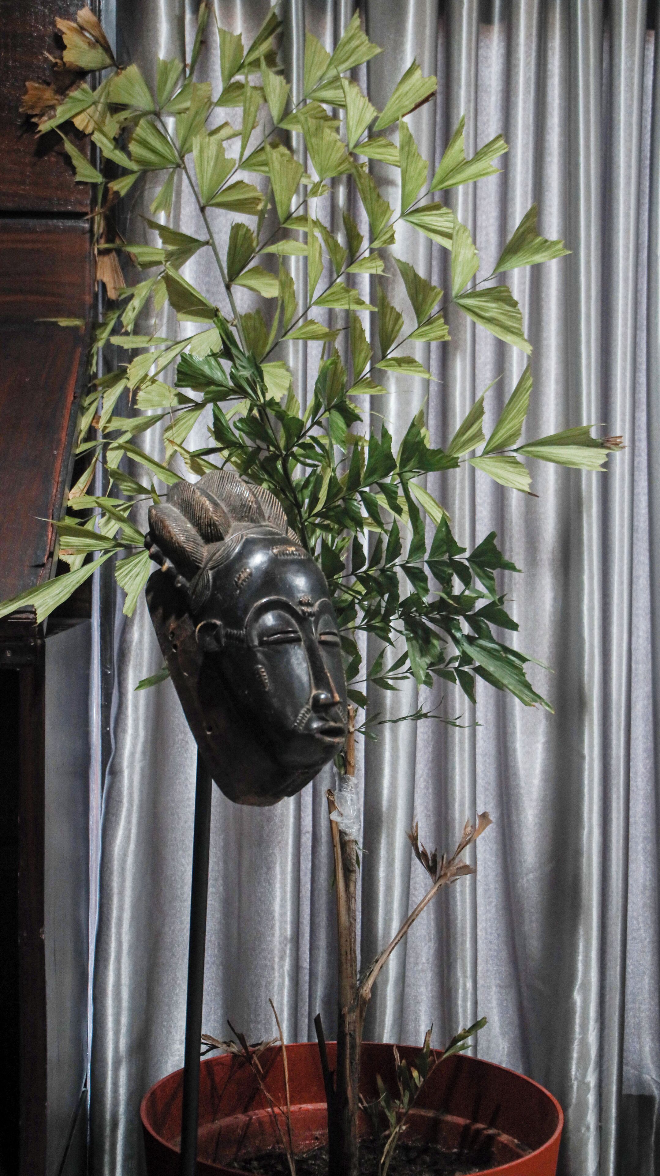 A potted plant with a sculpted head in the foreground, set against a metallic curtain backdrop.