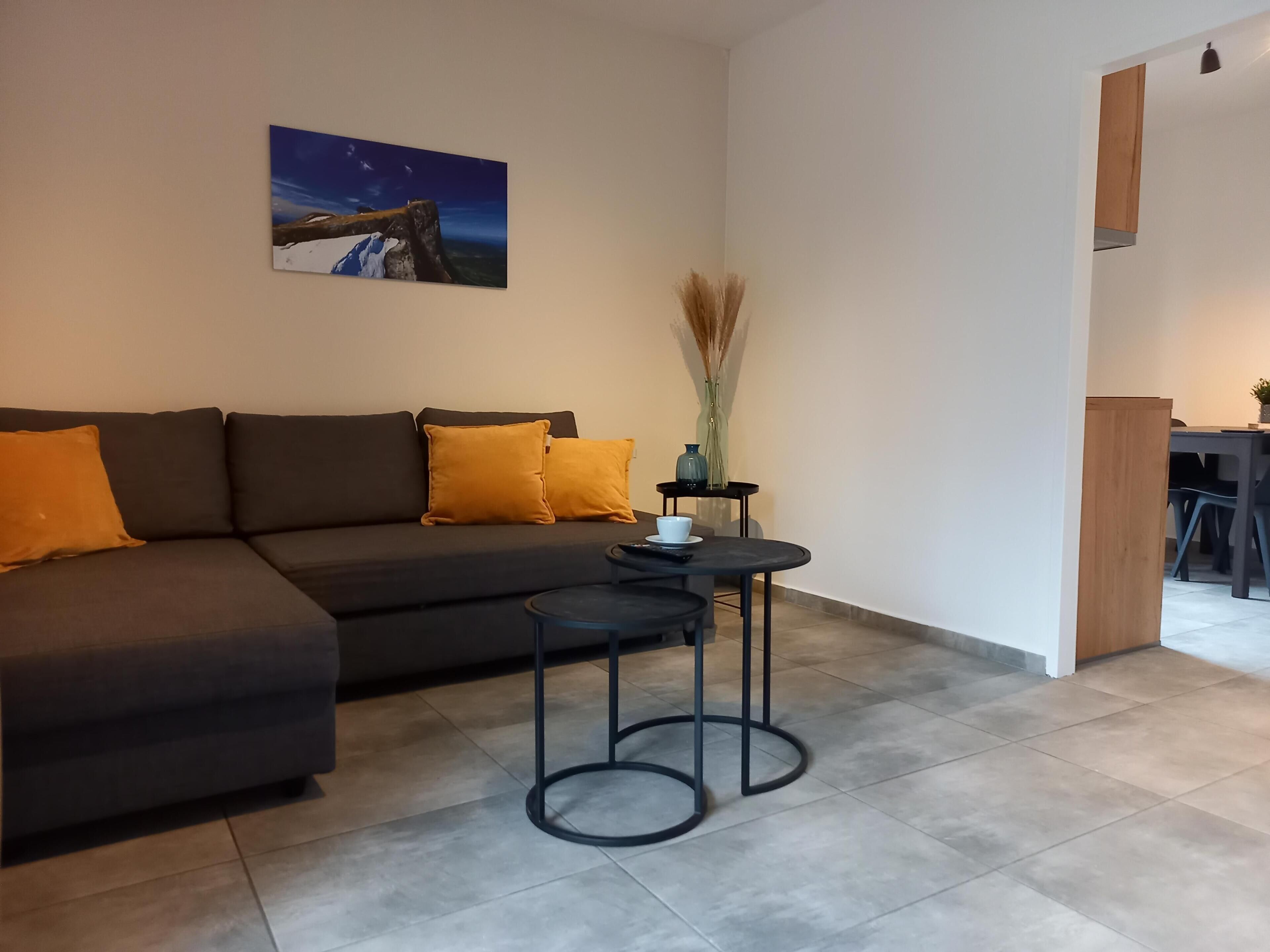 电视