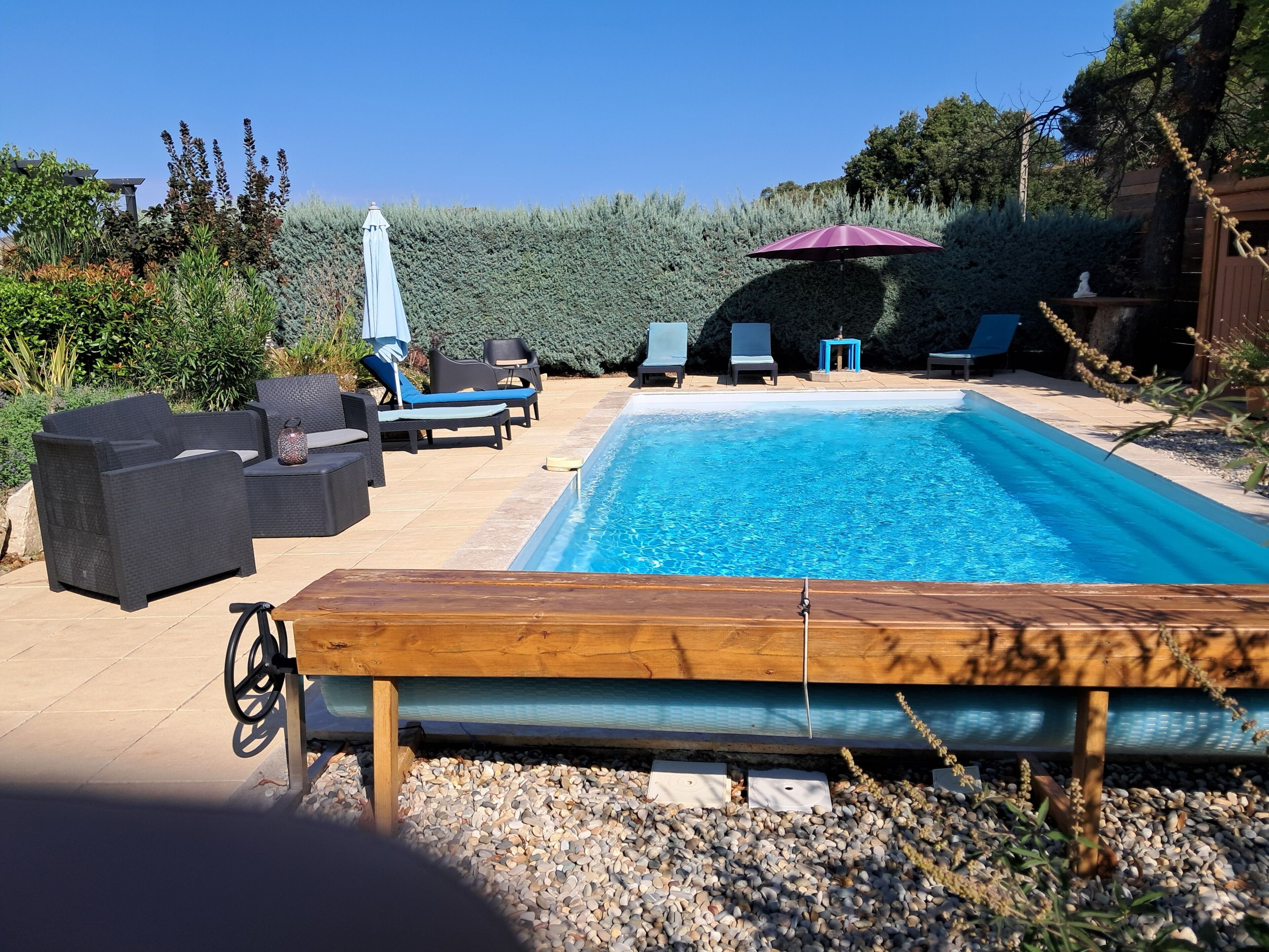 A swimming pool with lounge chairs and umbrellas, surrounded by greenery.