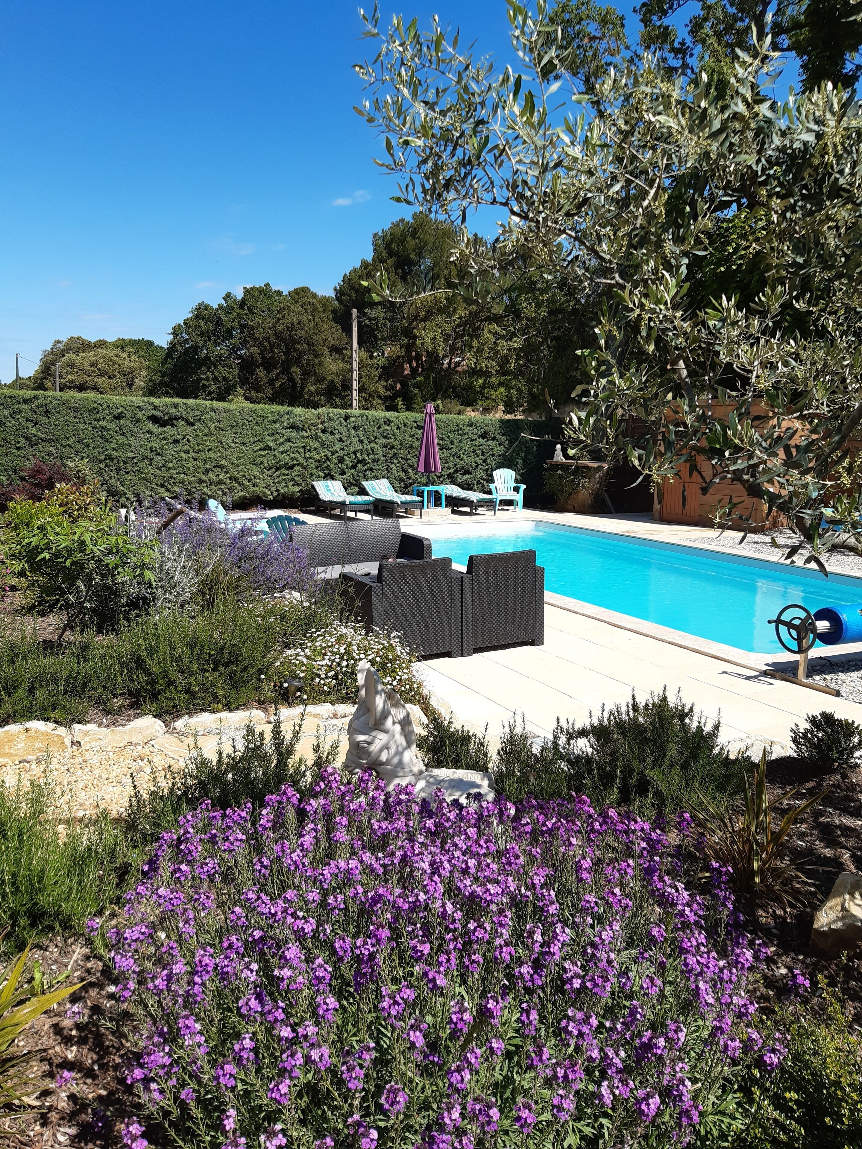 Piscine extérieure