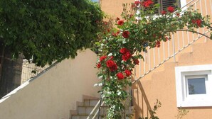 A staircase with a railing, a window, and a wall with climbing roses. - Apartment Luca (Vodice)