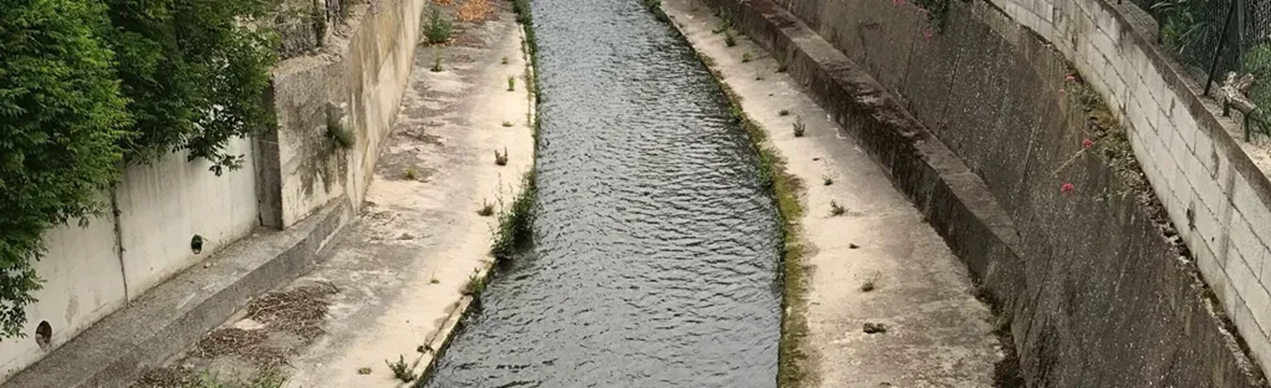 A narrow waterway flanked by concrete walls with vegetation growing along the edges.