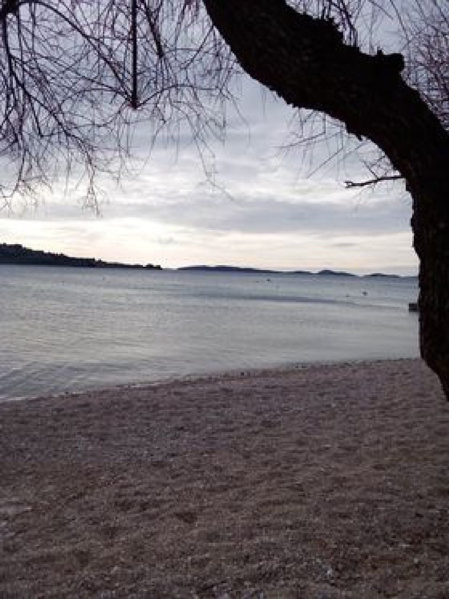 Departamento (Apartment Mijatovic - One Bedroom Apa) | Playa