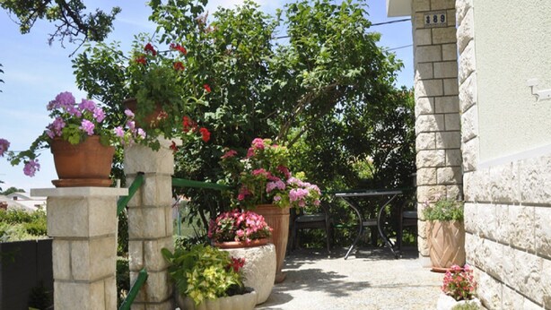 A stone staircase leading to a building entrance, surrounded by potted plants and flowers. - Apartments Profaca (Rab)