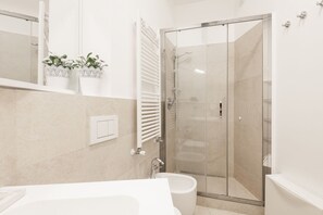 Shower, hair dryer, bidet, towels