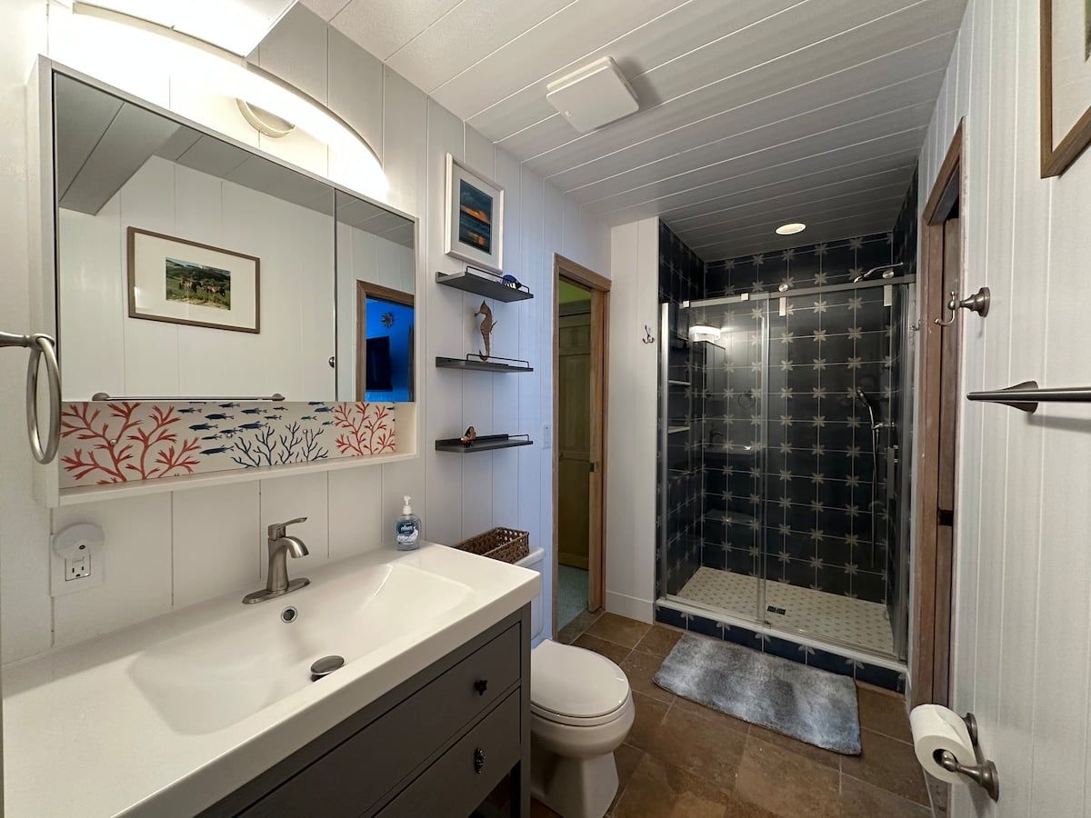 A bathroom with a white vanity, a large mirror, a shower with a glass door, and a toilet.