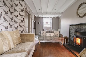 TV, fireplace, DVD player, books