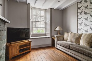 电视、壁炉、DVD 播放器、书