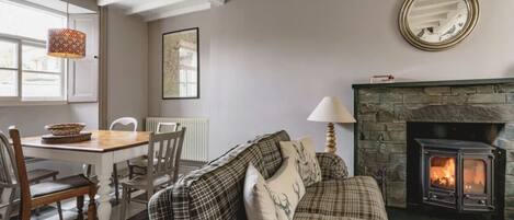 TV, fireplace, DVD player, books