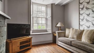 TV, fireplace, DVD player, books