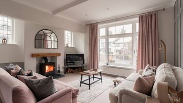 Smart TV y chimenea