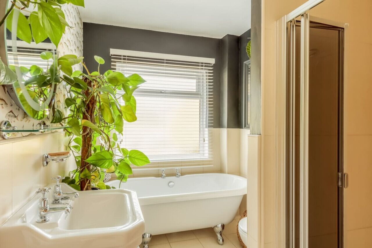 Hair dryer, towels