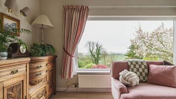 Una Smart TV, una chimenea, libros