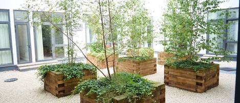 Apartment | Property grounds